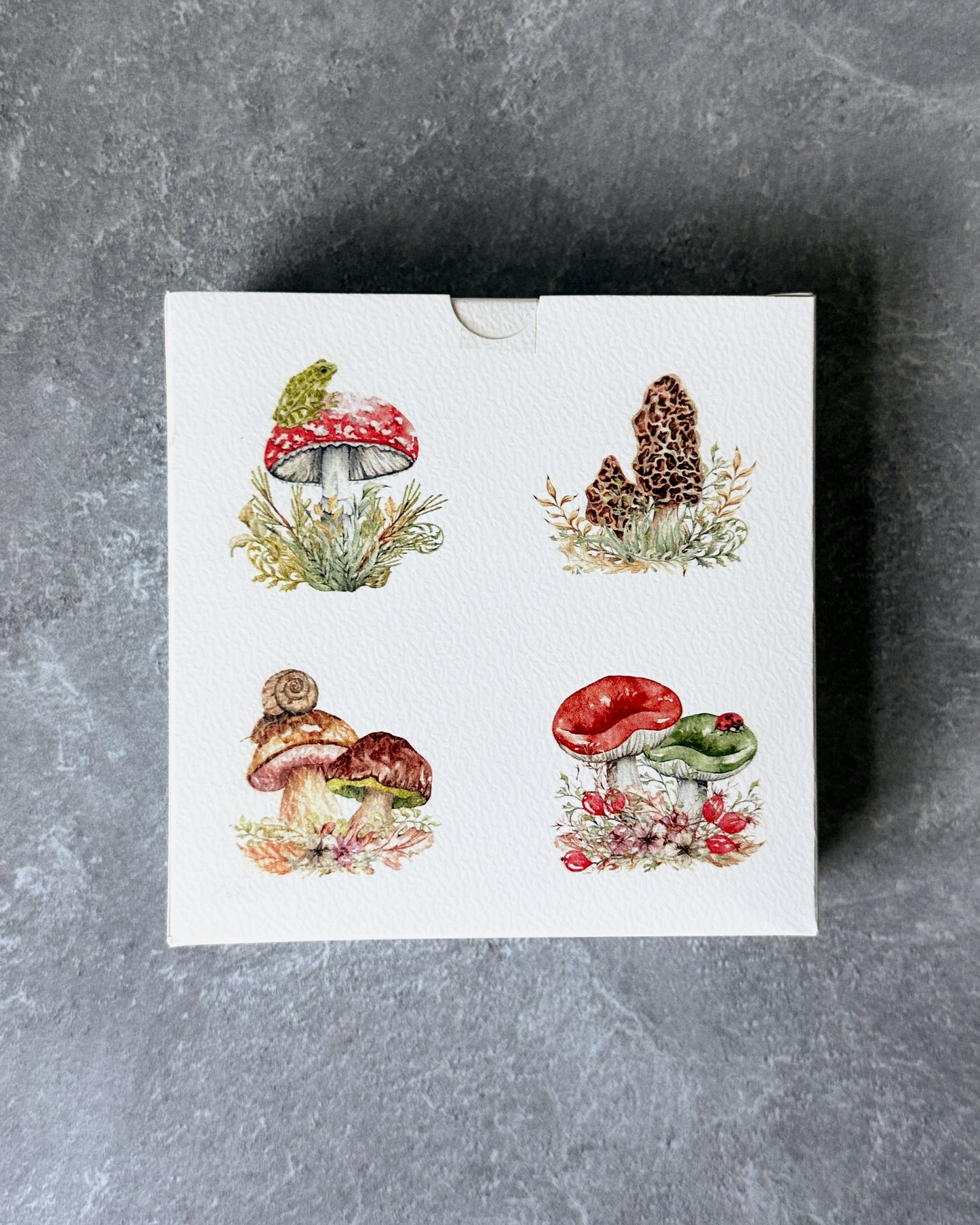 Mushroom Coaster Set